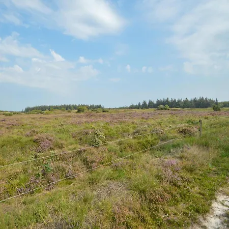 Toftlund With A Fireplace 09